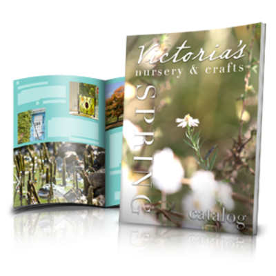 Catálogos 21 x 29,7 cm